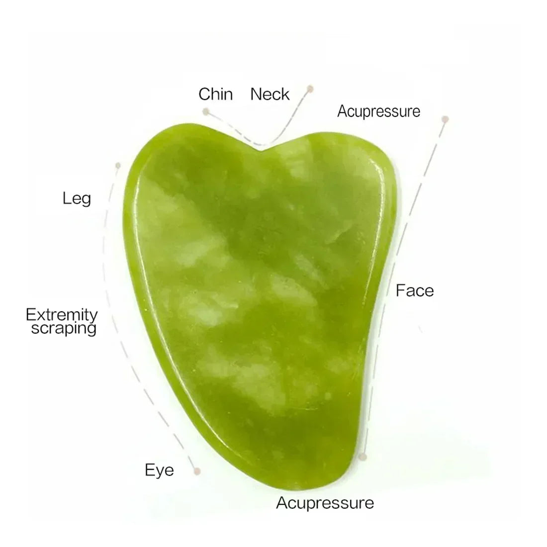 Natural Jade Roller and Gua Sha Set - Face Neck Body Massager