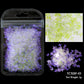 2g Holographic Nail Art Glitter - Star Butterfly Sequins Flakes