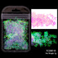 2g Holographic Nail Art Glitter - Star Butterfly Sequins Flakes