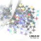 2g Holographic Nail Art Glitter - Star Butterfly Sequins Flakes