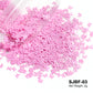 2g Holographic Nail Art Glitter - Star Butterfly Sequins Flakes