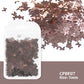 2g Holographic Nail Art Glitter - Star Butterfly Sequins Flakes