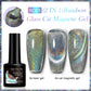 LILYCUTE 7ml 9D Cat Eye Magnetic Gel Polish