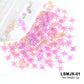 2g Holographic Nail Art Glitter - Star Butterfly Sequins Flakes