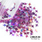 2g Holographic Nail Art Glitter - Star Butterfly Sequins Flakes