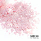 2g Holographic Nail Art Glitter - Star Butterfly Sequins Flakes